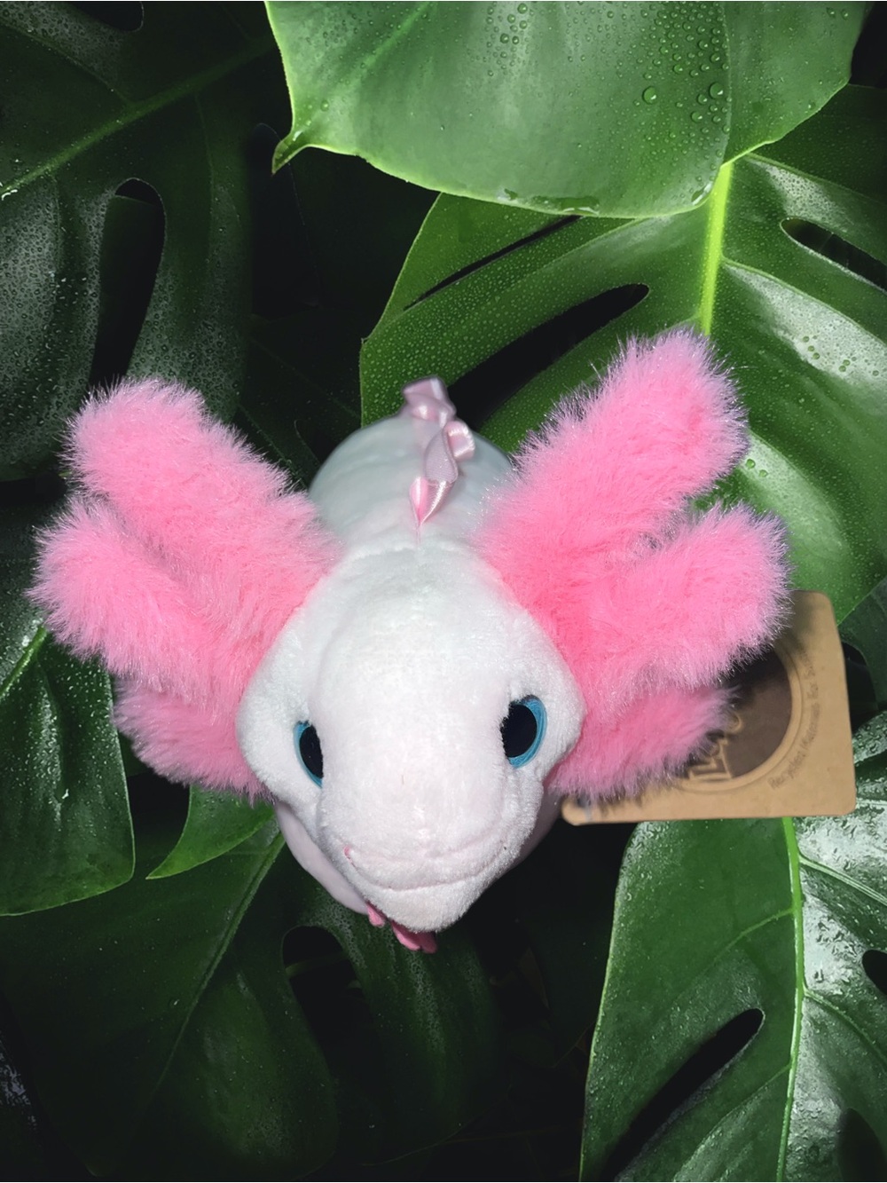Lollyplush  Pink Axolotl Stuffed Plush 8" Toy